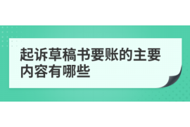 阳江融资清欠服务